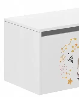 Truhly a komody Dětský úložný box s kočičkou a hvězdami 40x40x69 cm