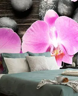 Tapety Feng Shui Fototapeta nádherná orchidej a kameny