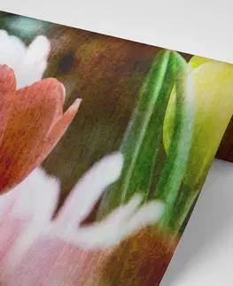 Tapety květiny Tapeta louka tulipánů v retro stylu