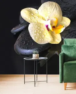 Samolepící tapety Samolepící fototapeta Zen kameny se žlutou orchidejí