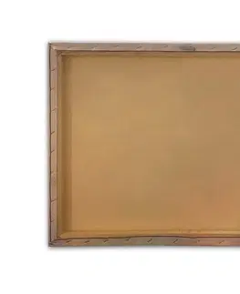 Obrazy Wallity Obraz LEOCADIA 50x70 cm růžový/zlatý