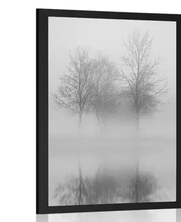 Černobílé Plakát stromy v mlze v černobílém provedení
