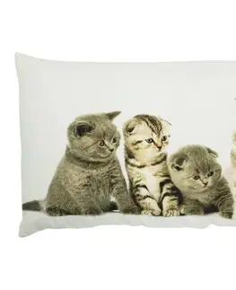 Dekorační polštáře Bavlněný polštář Britská koťata 35x50 cm - 50*10*35cm Mars & More GKHKKBK4