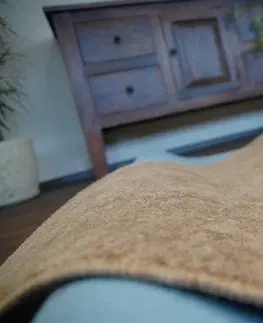 Koberce a koberečky Dywany Lusczow Kusový koberec SERENADE Hagy světle hnědý, velikost 100x150