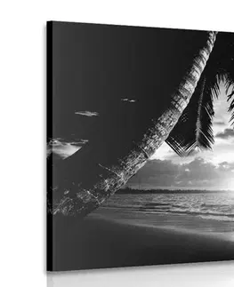 Černobílé obrazy Obraz východ slunce na karibské pláži v černobílém provedení