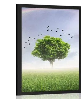 Příroda Plakát osamělý strom na louce