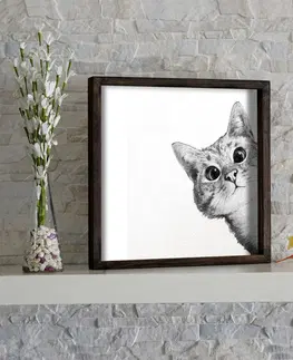 Obrazy Wallity Nástěnný obraz Cat 33x33 cm černobílý