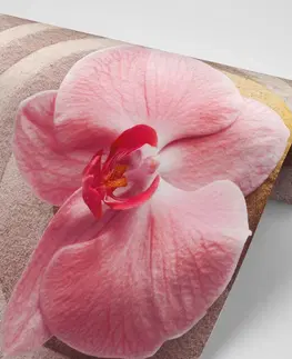 Tapety Feng Shui Tapeta mořský písek a růžová orchidej