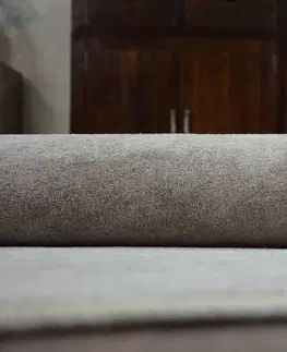 Koberce a koberečky Dywany Lusczow Kusový koberec SERENADE Hagy šedý, velikost 100x200