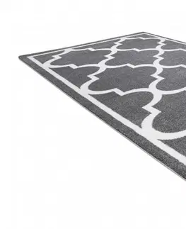 Koberce a koberečky Dywany Lusczow Kusový koberec SKETCH KIERAN šedý  / bílý trellis, velikost 180x270