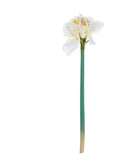 Umělé květiny Květina um. Amaryllis White 75cm
