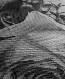 Černobílé obrazy Obraz růže a srdíčko ve vintage černobílém provedení