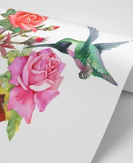 Samolepící tapety Samolepící tapeta kolibříky s květinami