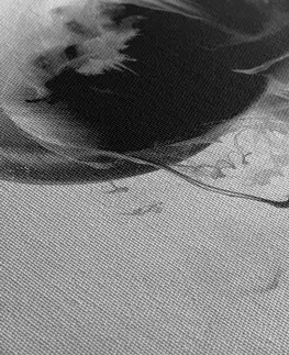Černobílé obrazy Obraz zajímavý květ v černobílém provedení
