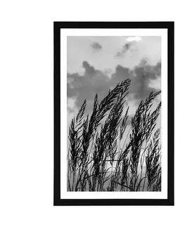 Černobílé Plakát s paspartou tráva v černobílém provedení