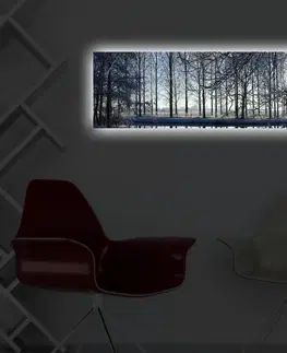 Obrazy Wallity Obraz s LED osvětlením ZIMNÍ KRAJINA 37 30 x 90 cm