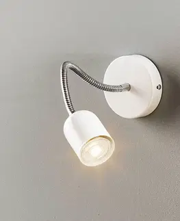 Nástěnná svítidla Eko-Light Nástěnné světlo Maxi s flexibilním ramenem, bílá