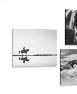 Sestavy obrazů Set obrazů pro milovníky koní v černobílém provedení