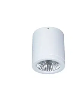 Podhledová svítidla LTS Povrchové svítidlo LED Button Mini 100 IP54 55° 16 W