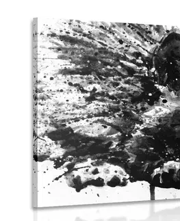 Obrazy zvířat Obraz vlk v akvarelovém provedení v černobílé barvě