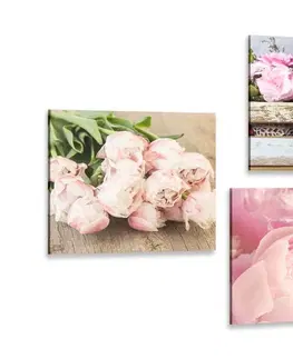 Sestavy obrazů Set obrazů květiny ve vintage stylu