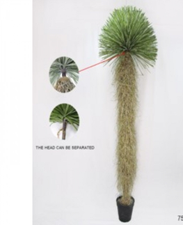 Umělé rostliny KARE Design Dekorativní rostlina Yucca Rostrata 240cm