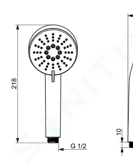 Sprchy a sprchové panely HANSA Basic Sprchová hlavice, 3 proudy, chrom 55620100