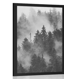 Černobílé Plakát hory v mlze v černobílém provedení