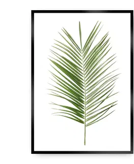 Obrazy a plakáty Plakát Palm Leaf Green