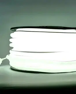 Světelné kabely DecoLED D-TYP jednostranný LED Neon, ledově bílá, IP67, 1 m