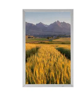 Příroda Plakát západ slunce nad pšeničným polem