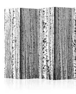 Paravány Paraván Birch forest Dekorhome 225x172 cm (5-dílný)