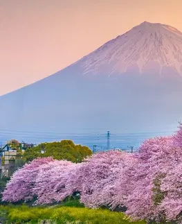 Obrazy přírody a krajiny Obraz nádherné Japonsko