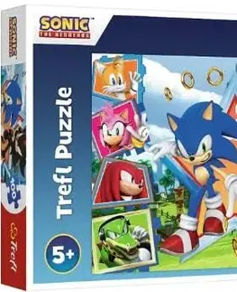 Hračky puzzle TREFL -  Puzzle 100 dílků - Seznamte se se Sonicem / SEGA Sonic The Headgehog