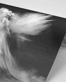 Samolepící tapety Samolepící tapeta černobílá podoba anděla v oblacích