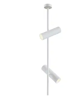 Moderní stropní svítidla MAYTONI Stropní svítidlo Elti C021CL-02W
