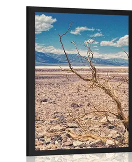 Příroda Plakát země sucha