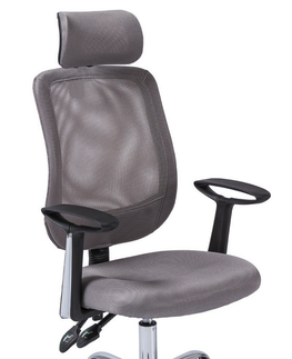 Kancelářské židle Kancelářské křeslo MACROLOBUM, šedá 