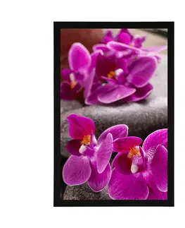 Feng Shui Plakát nádherná orchidej a Zen kameny