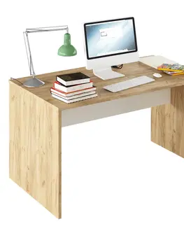 Kancelářské skříně PC stůl, Rioma TYP 11 0000185732 Tempo Kondela Dub artisan / bílá