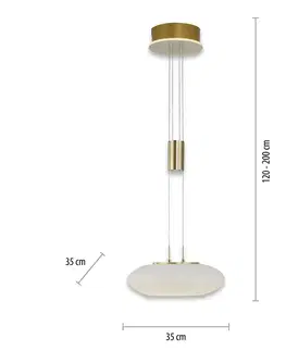 Inteligentní lustry Q-Smart-Home Paul Neuhaus Q-ETIENNE LED závěsné světlo 1x mosaz