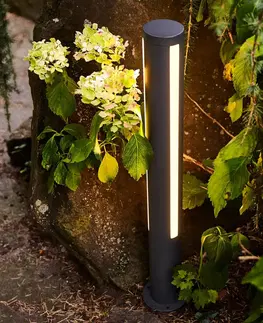 Osvětlení příjezdové cesty Heitronic LED osvětlení cesty Lilia, výška 75 cm