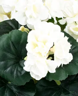 Květiny Umělá květina Muškát v květináči bílá, 26 x 10 x 10 cm