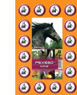 Hračky společenské hry MIČÁNEK - Pexeso Koně