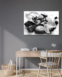 Černobílé obrazy Obraz krásná souhra kamenů a orchideje v černobílém provedení