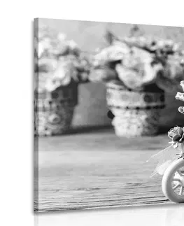 Černobílé obrazy Obraz romantický karafiát ve vintage nádechu v černobílém provedení