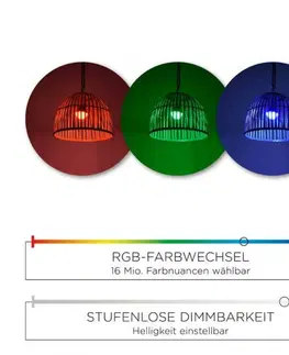 LED lustry a závěsná svítidla LEUCHTEN DIREKT is JUST LIGHT LED závěsné svítidlo, dřevo, na baterie, IP44, stmívatelné, dálkový ovladač, teplá bílá RGB+3000K