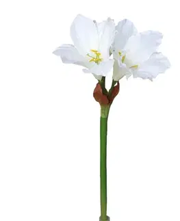 Květiny Umělá Amarylis bílá, 52 cm