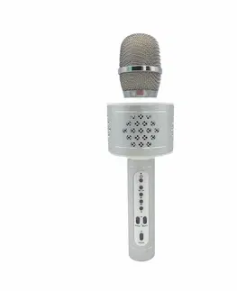 Dřevěné hračky Teddies Mikrofon karaoke Bluetooth, stříbrná, na baterie, s USB kabelem