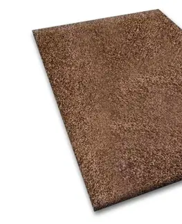 Koberce a koberečky Dywany Lusczow Kusový koberec SHAGGY Izebelie 5cm hnědý, velikost 100x300